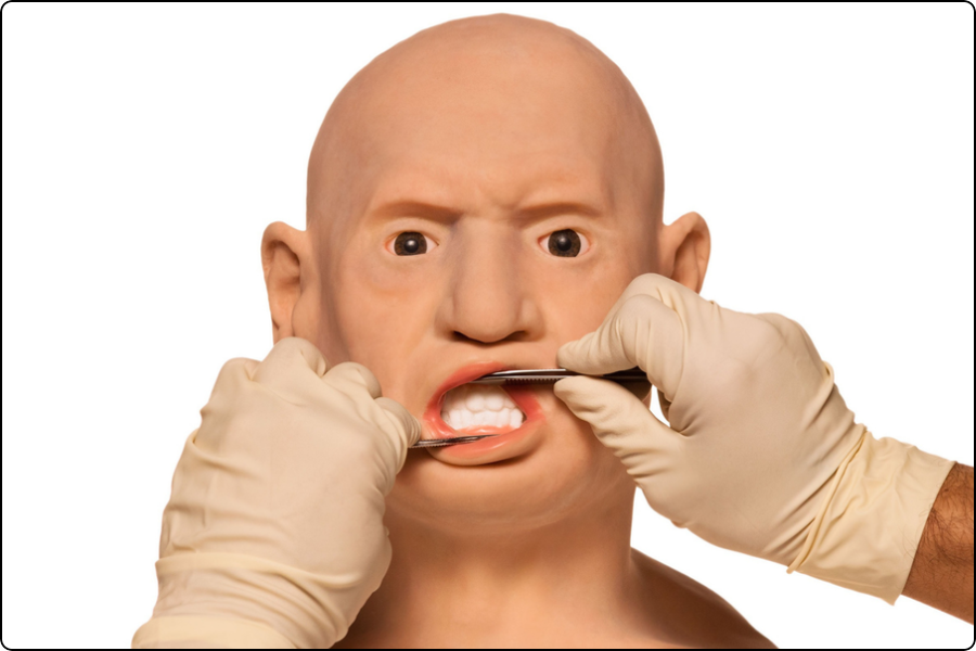 Duomo head model, open mouth demonstration