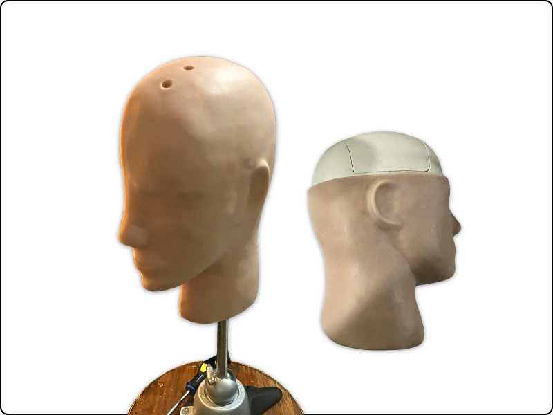 Brain Catheter Model