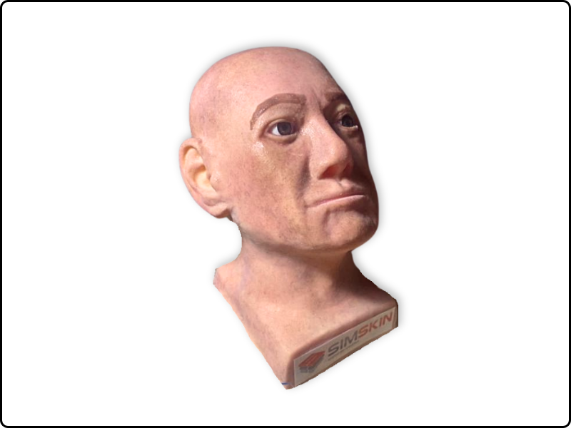 Cosmo Head Model