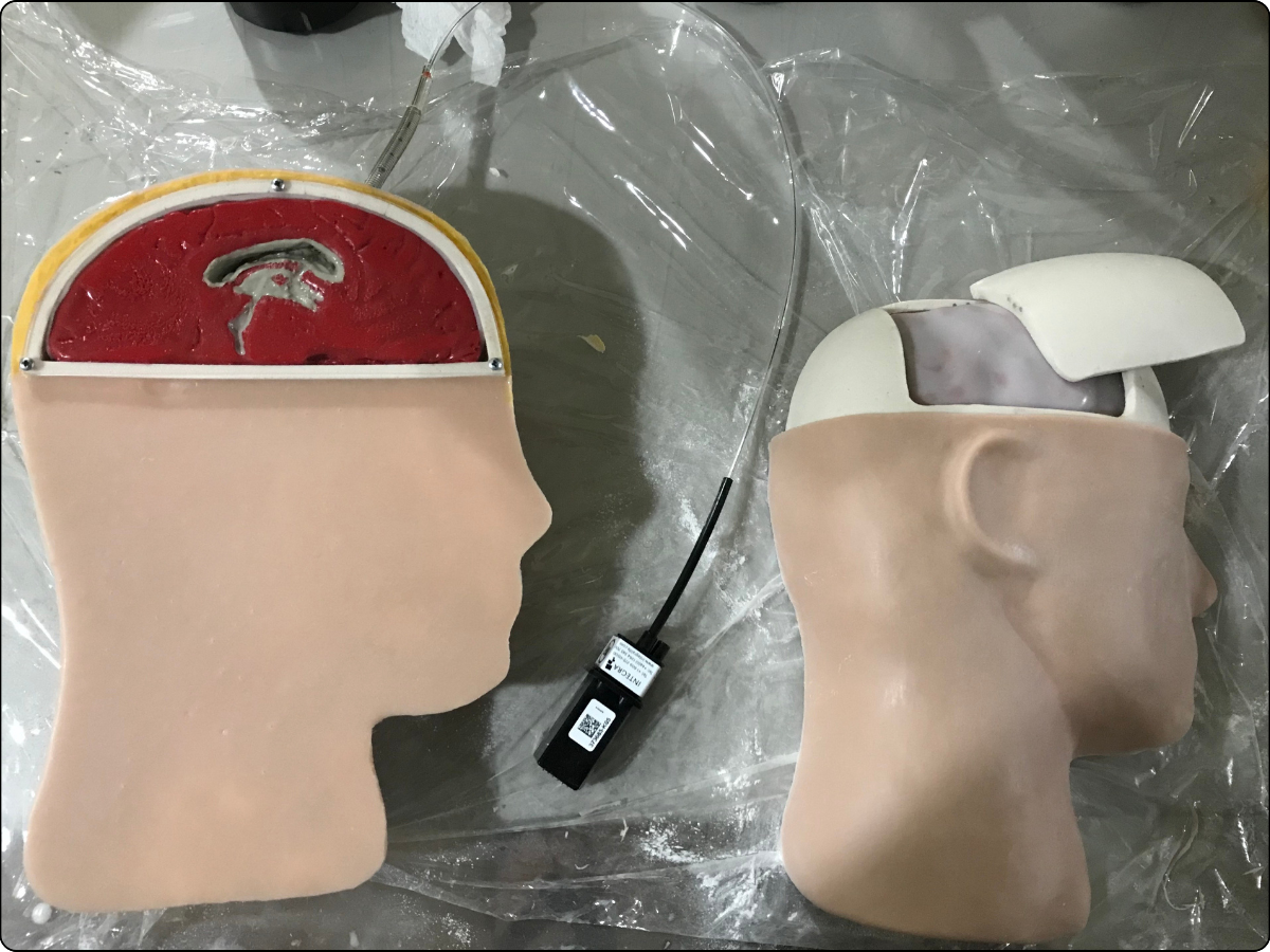 Brain Catheter Model image 2