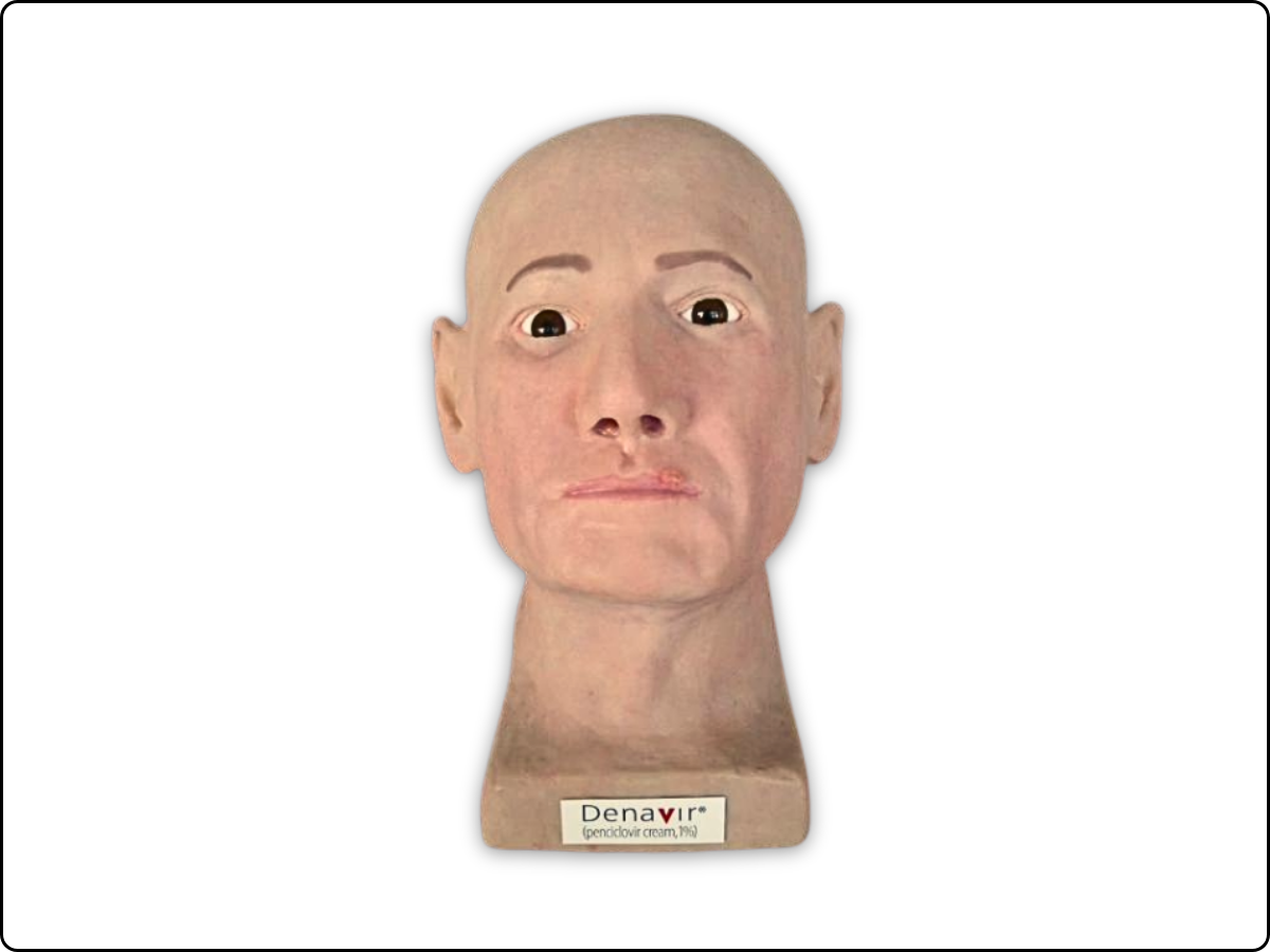 Cosmo Head Model image 2