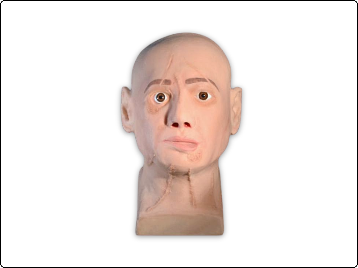 Cosmo Head Model image 3